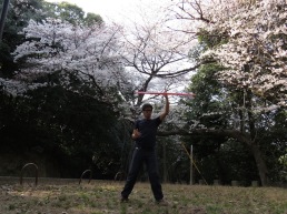 Hooping under cherry blossoms in Hijiyama park, Hiroshima