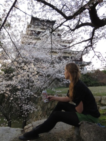 Cherry blossoms, Hiroshima