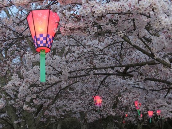 Evening cherry blossom viewing, Miyajima
